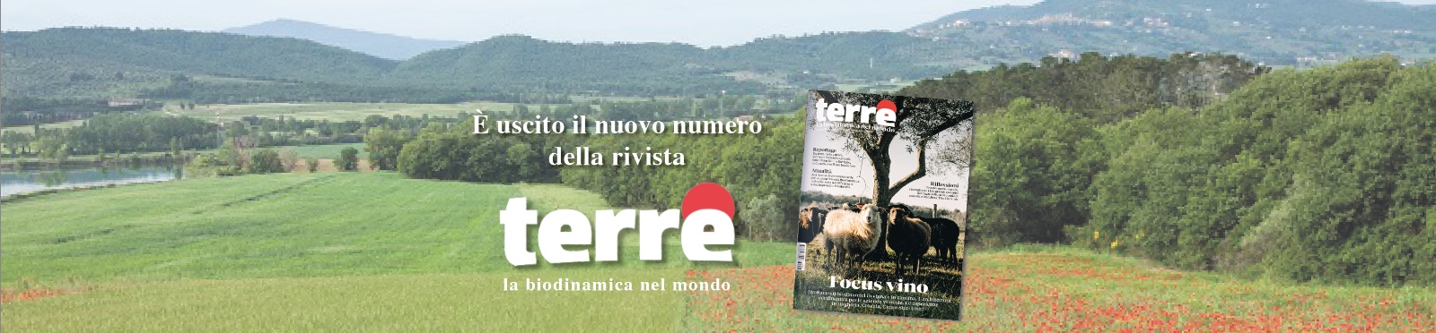 https://www.editriceantroposofica.com/media/banners/images/bannern4-1086493498.jpg