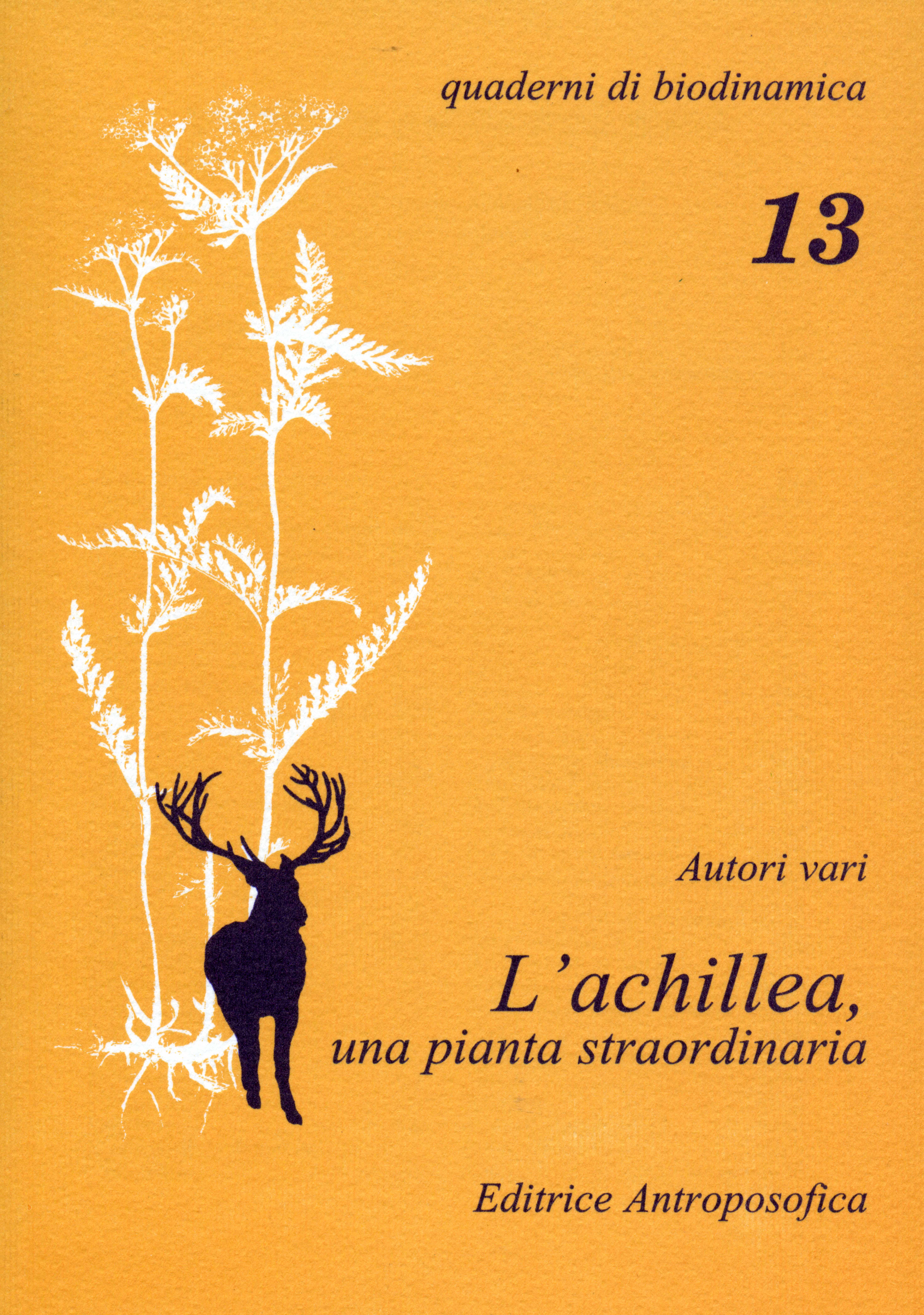 13 - L'achillea, una pianta straordinaria