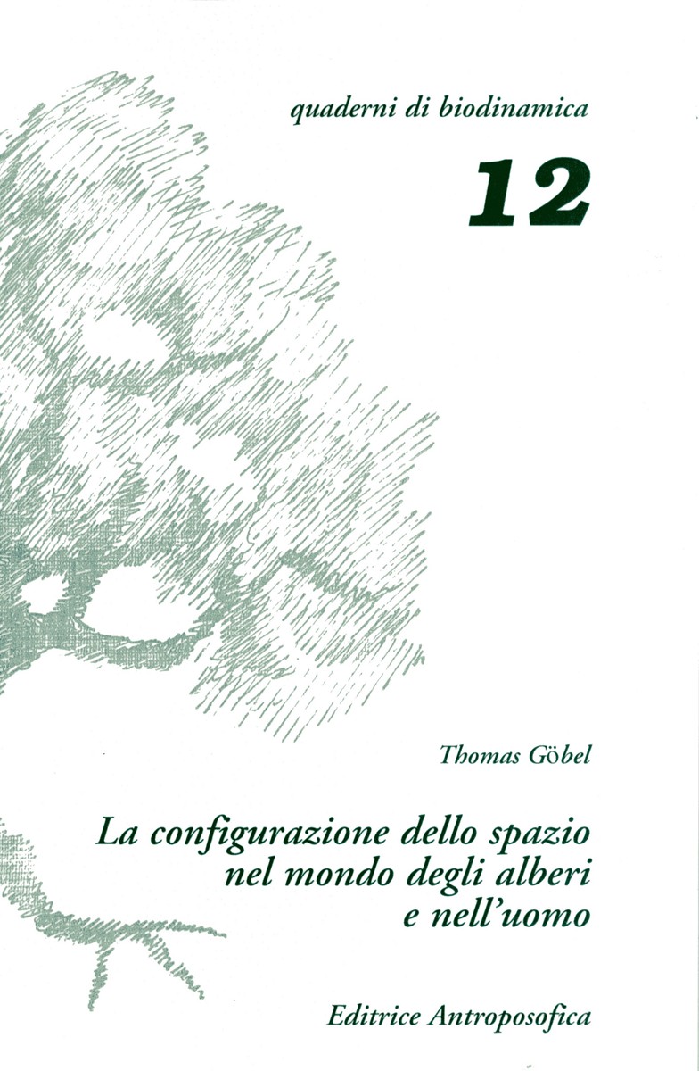 12 - La configurazione dello spazio nel mondo degli alberi e nell'uomo