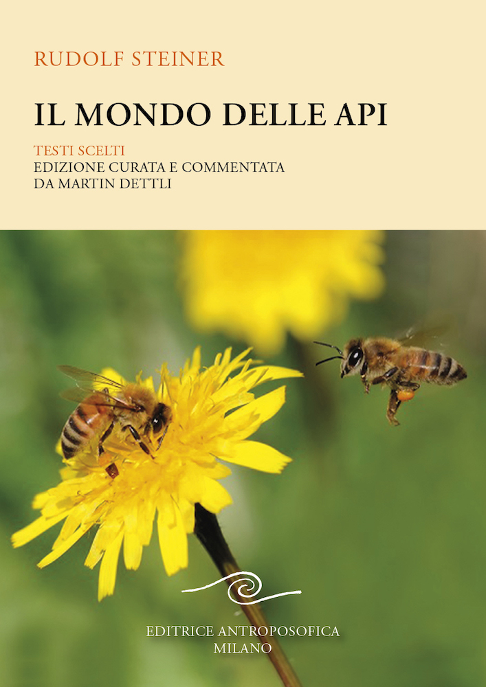 https://www.editriceantroposofica.com/media/products/images/9788877876454.jpg