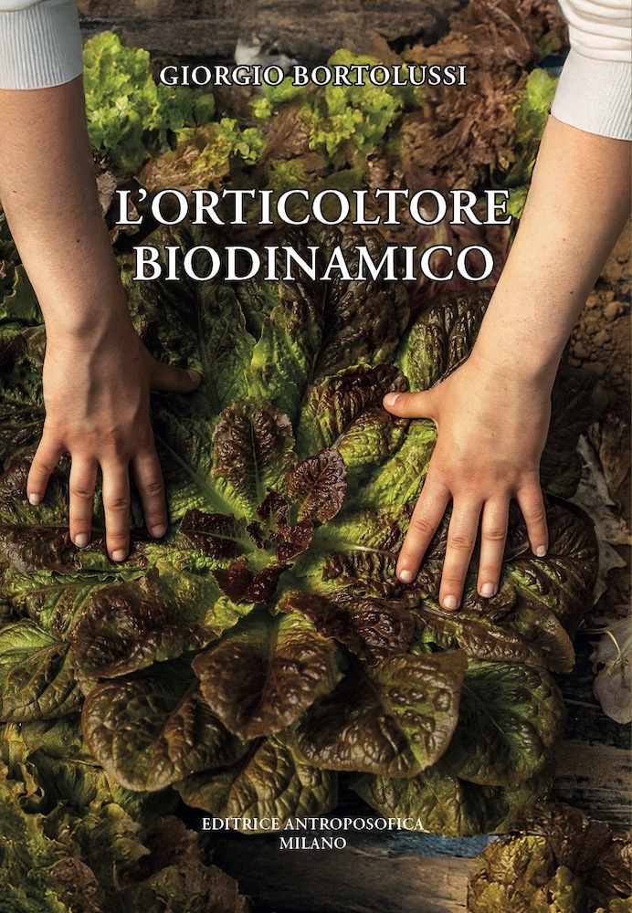 https://www.editriceantroposofica.com/media/products/images/9788877877628-740775947.jpg