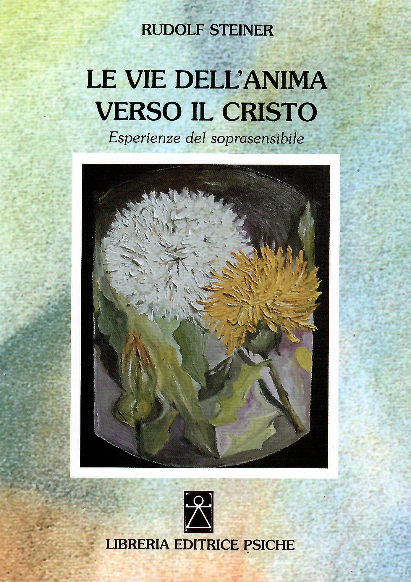 https://www.editriceantroposofica.com/media/products/images/9788885142909.jpg